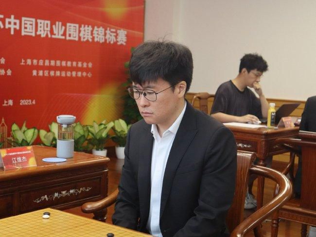 小猫视频大全搞笑可爱